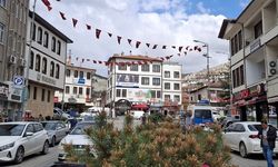 Beypazarı'nda caddelerdeki saksılar çiçeklendirildi