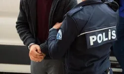 Ankara’da köpekleri kasten öldüren şahıs tutuklandı