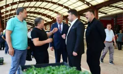 Kahramankazan’da çiftçiye fide desteği!