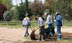 Sincan parkları bahara hazırlanıyor