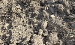 Haymana’da tarihi el bombası bulundu