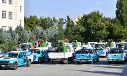 Başkentte haşere seferberliği!