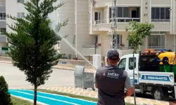 Sincan Belediyesi kenelere karşı sahada!