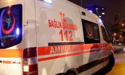 Ayaş'ta arı saldırısı!