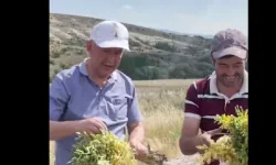 Çamlıdere Belediye Başkanı Ceylan'dan çiftçilere tam destek!