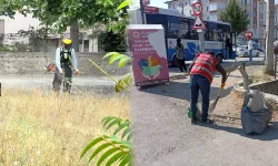 Elmadağ’da yaz temizliği seferberliği