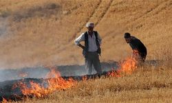 Ankara Büyükşehir Belediyesi'nden anız uyarısı!