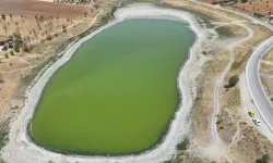 Çubuk'taki Kızılca Göleti kurudu, balıklar kıyıya vurdu
