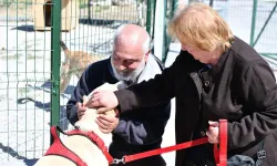 Mamak Belediyesinden can dostlara yeni klinik müjdesi