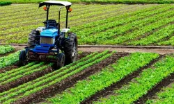 Ankara’dan 6 milyar liralık organize tarım atağı