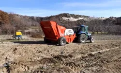 Beypazarı'nda çiftçinin yüzü gülecek!