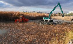 Mogan Gölü Nefes Aldı