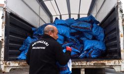 Beypazarı Belediyesi’nden İhtiyaç Sahiplerine Kömür Desteği