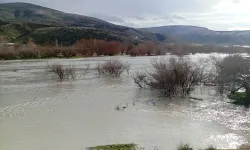 Beypazarı’nda ekili araziler su altında