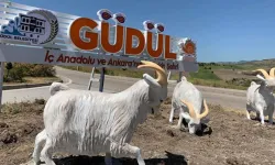 Güdül’de çiftçiye müjde!