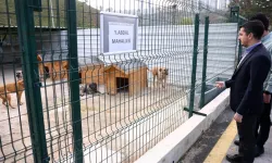 Çankaya'da 2 dev proje tamamlanıyor