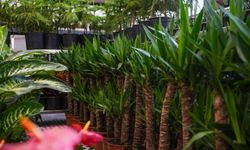 Etimesgut'un 'Çiçek Hastanesi'nde Bahar Güncellemesi