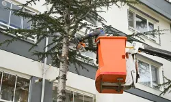 Mamak’ta bahar bakımı devam ediyor