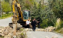 Nallıhan Kuş Cenneti Ziyaretçiler için Yeniden Düzenleniyor