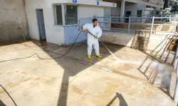 Altındağ'da Kurban Bayramı hazırlıkları hız kazandı