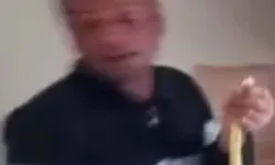 Ankara Akyurt'ta yılan paniği