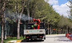 Çankaya’da 124 Mahallede İlaçlama Çalışmaları Başlatıldı