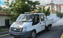 Şereflikoçhisar'da haşerelere karşı sisleme