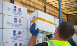Ankara Büyükşehirden arıcılara arı yemi desteği