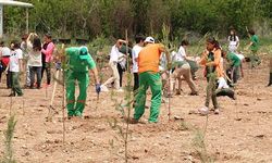 Çankaya'da ağaçlandırma çalışmaları devam ediyor