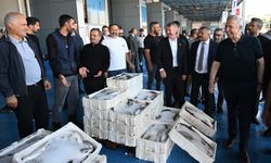 Ankara'da balık sezonu Mansur Yavaş'la açıldı