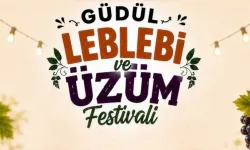 Güdül’de leblebi ve üzüm festivali yapılacak