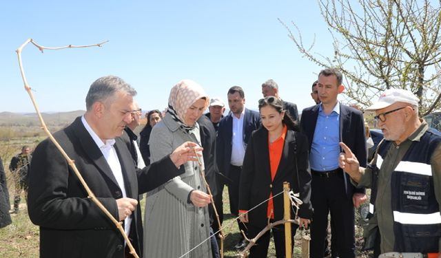 Çubuk'ta zirai don incelemesi