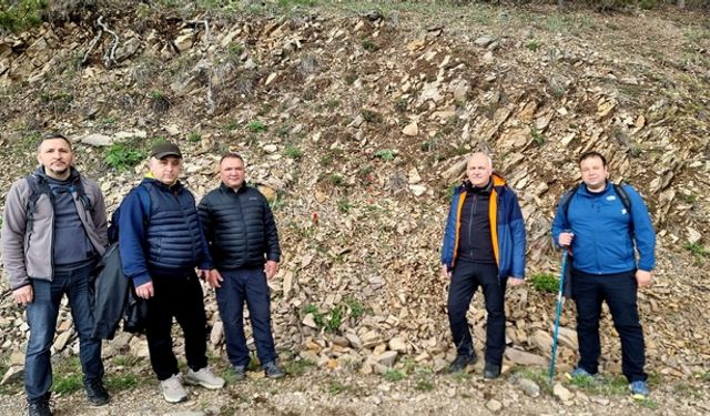 Kızılcahamam'da yılda 15 gün görülen dağ lalesi açtı