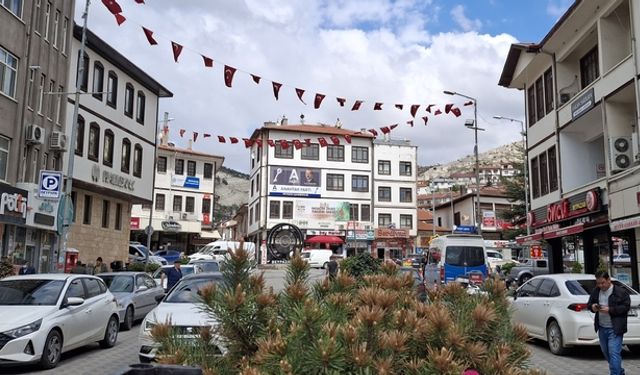 Beypazarı'nda caddelerdeki saksılar çiçeklendirildi