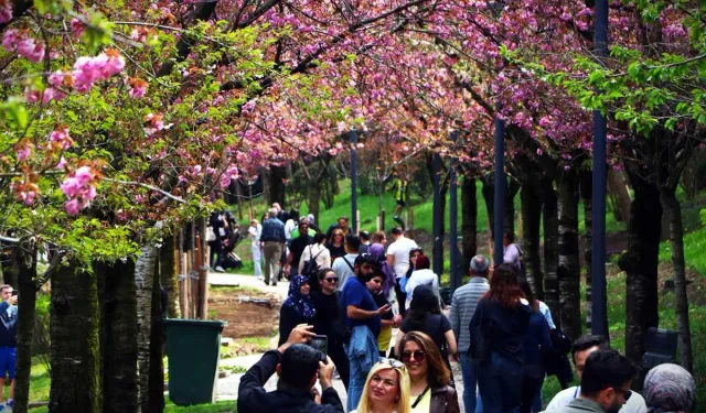Bu hafta Ankara'da hava nasıl olacak?
