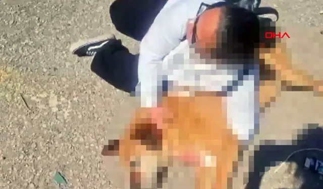 Ölü köpek ile eylem yaptılar