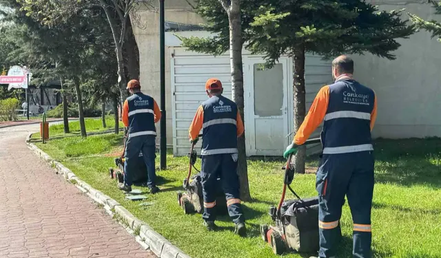 Çankaya Belediyesi yaz hazırlıklarına devam ediyor!