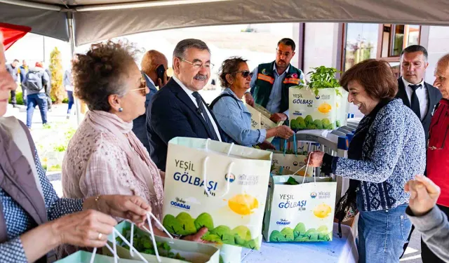 Gölbaşı’nda 50 bin ata tohumu fidesi dağıtıldı