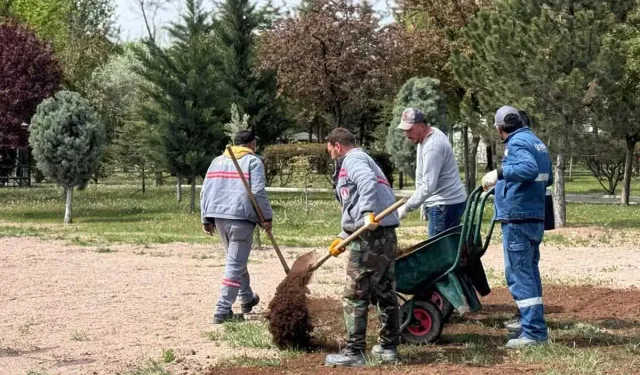 Sincan parkları bahara hazırlanıyor