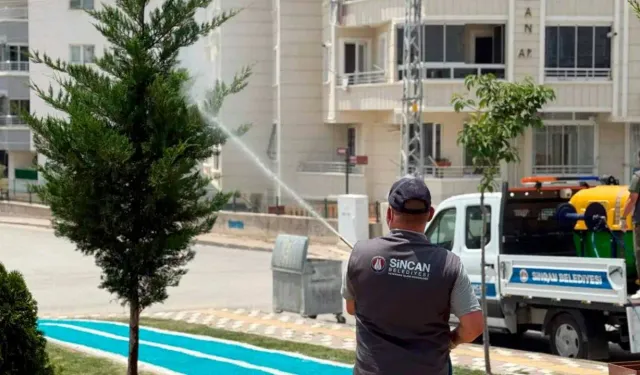 Sincan Belediyesi kenelere karşı sahada!