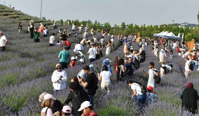 Başkentliler Ata Çiftliği’nde Buluştu