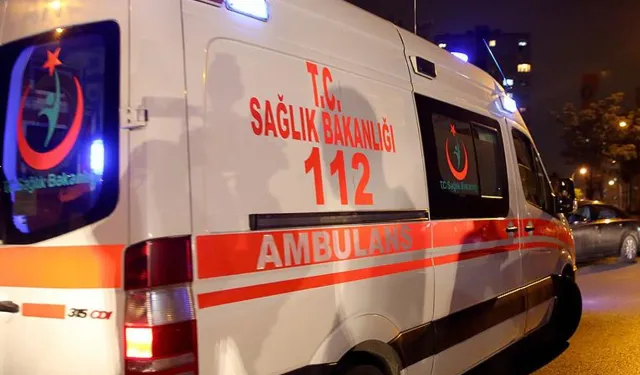 Ayaş'ta arı saldırısı!