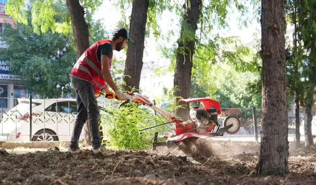 Keçiören’de park ve yeşil alanlara estetik dokunuş!