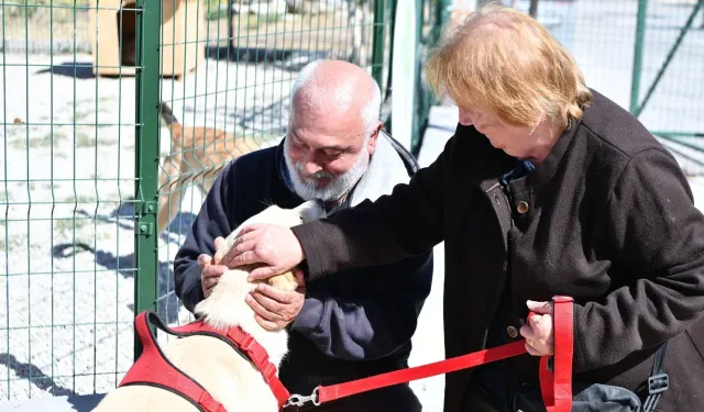 Mamak Belediyesinden can dostlara yeni klinik müjdesi