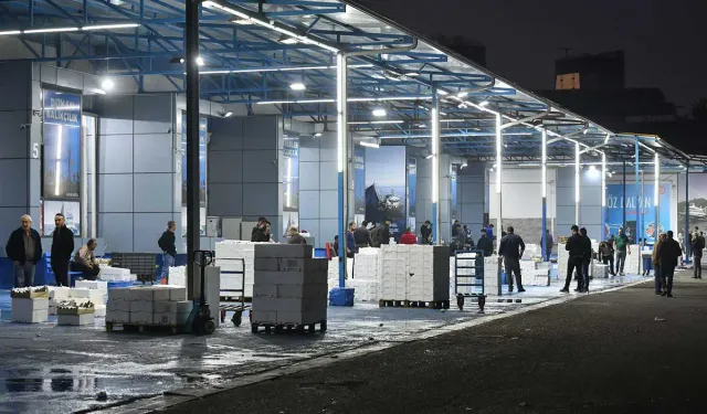 Ankara'da taze ve güvenilir balık için yoğun denetim