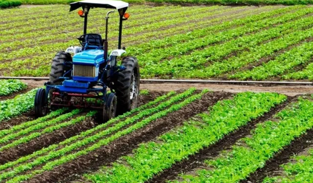 Ankara’dan 6 milyar liralık organize tarım atağı