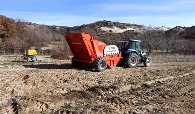 Beypazarı'nda çiftçinin yüzü gülecek!