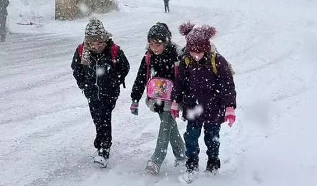 Ankara'da kırsal mahallere kar tatili!