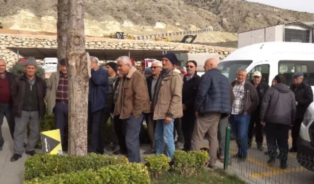 Beypazarı’nda 308 Çiftçiye 108 Ton Nohut Tohumu Dağıtıldı