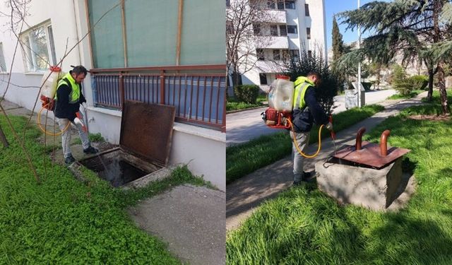 Nallıhan Belediyesi’nden Çayırhan’da İlaçlama Çalışması